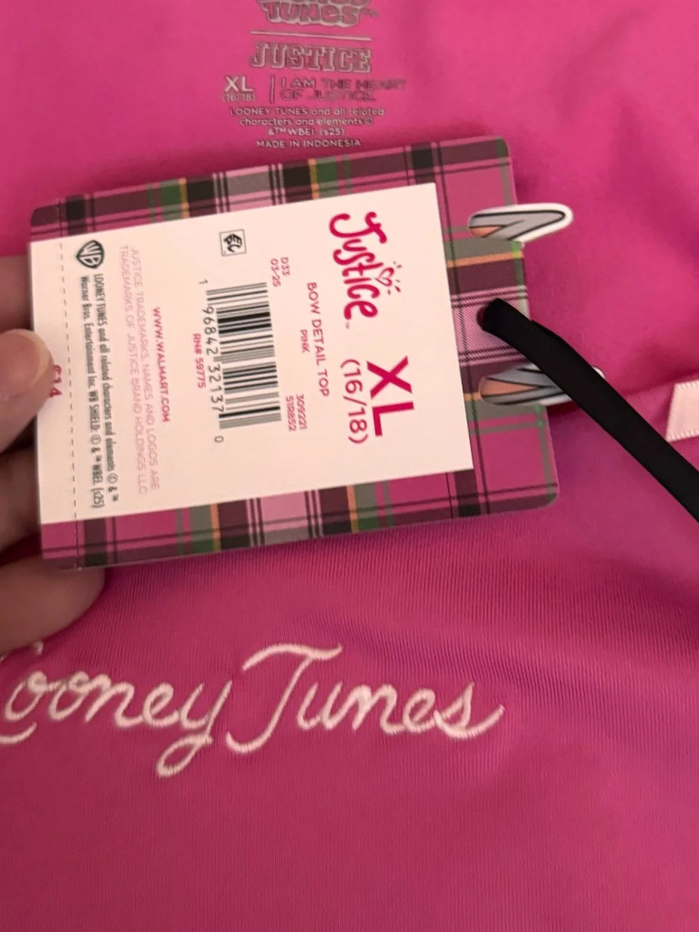Justice looney tunes